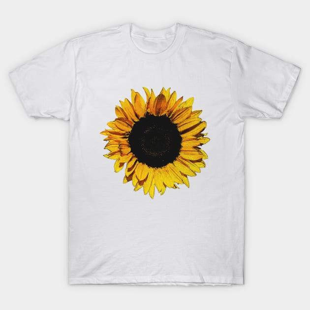 Sunflower T-Shirt by agnesewho